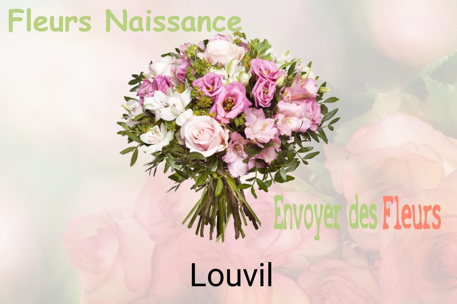 Bouquet de fleurs de naissance livré à Louvil